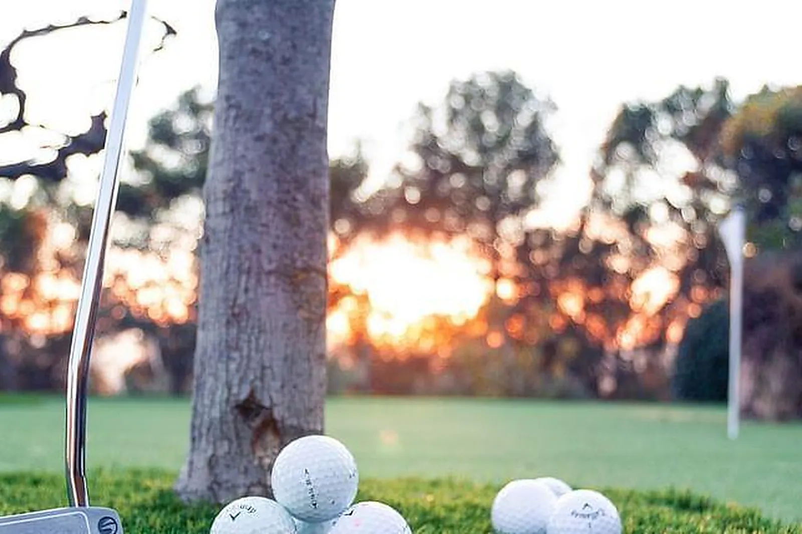 Lieux événementiels, LA BASTIDE DE TOURTOUR HÔTEL & SPA ****
