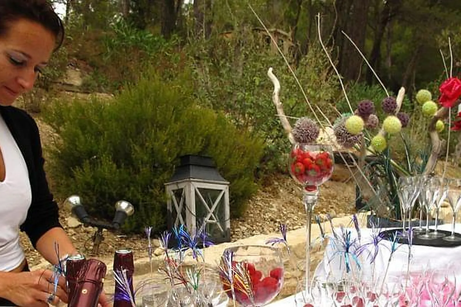 Lieux événementiels, LA BASTIDE DE VENELLES