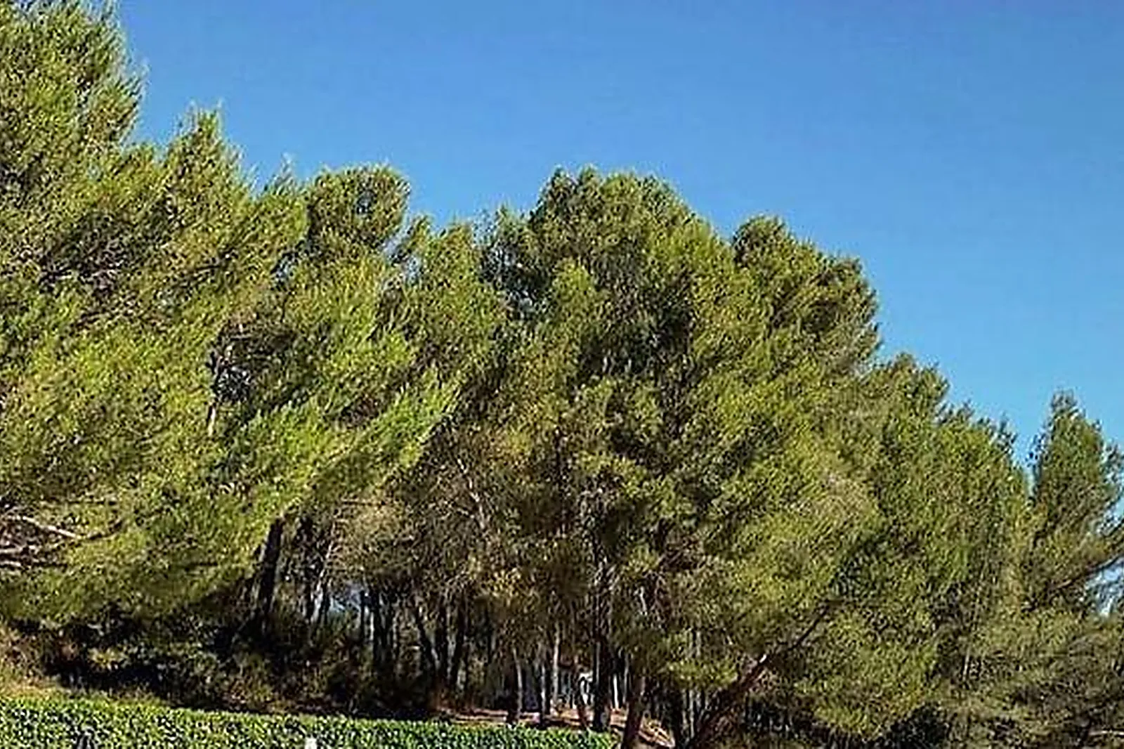 Lieux événementiels, LA BASTIDE DE VENELLES