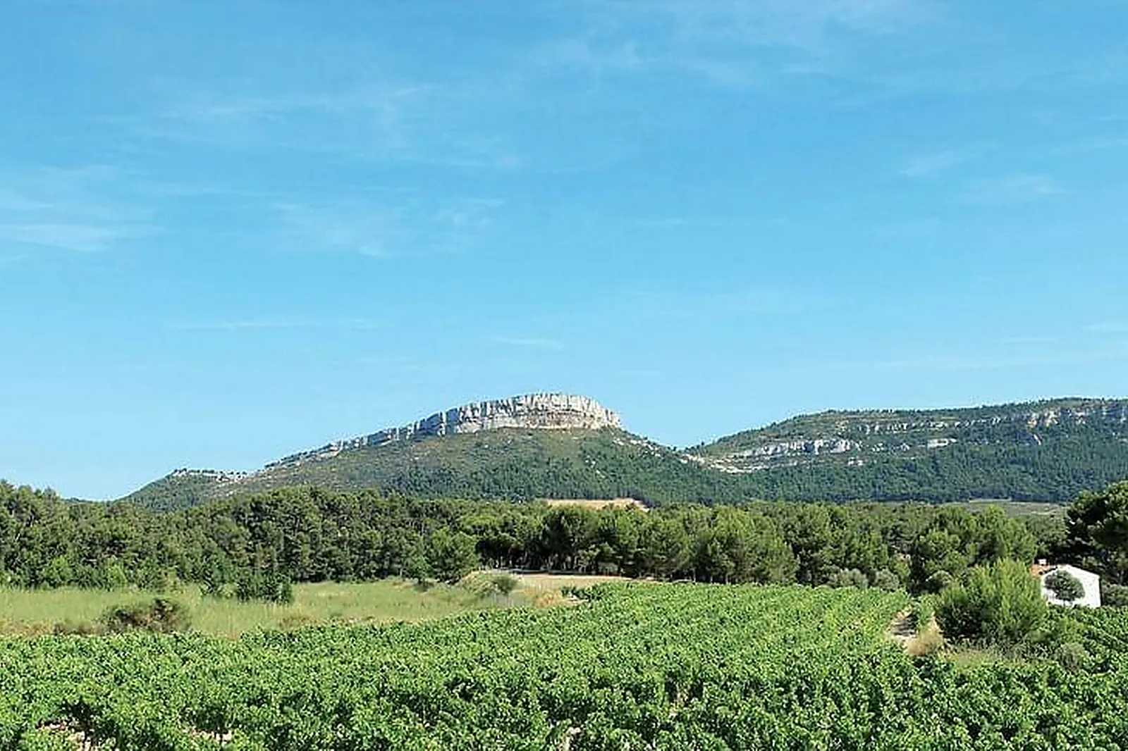 Lieux événementiels, LA BASTIDE DES CALANQUES