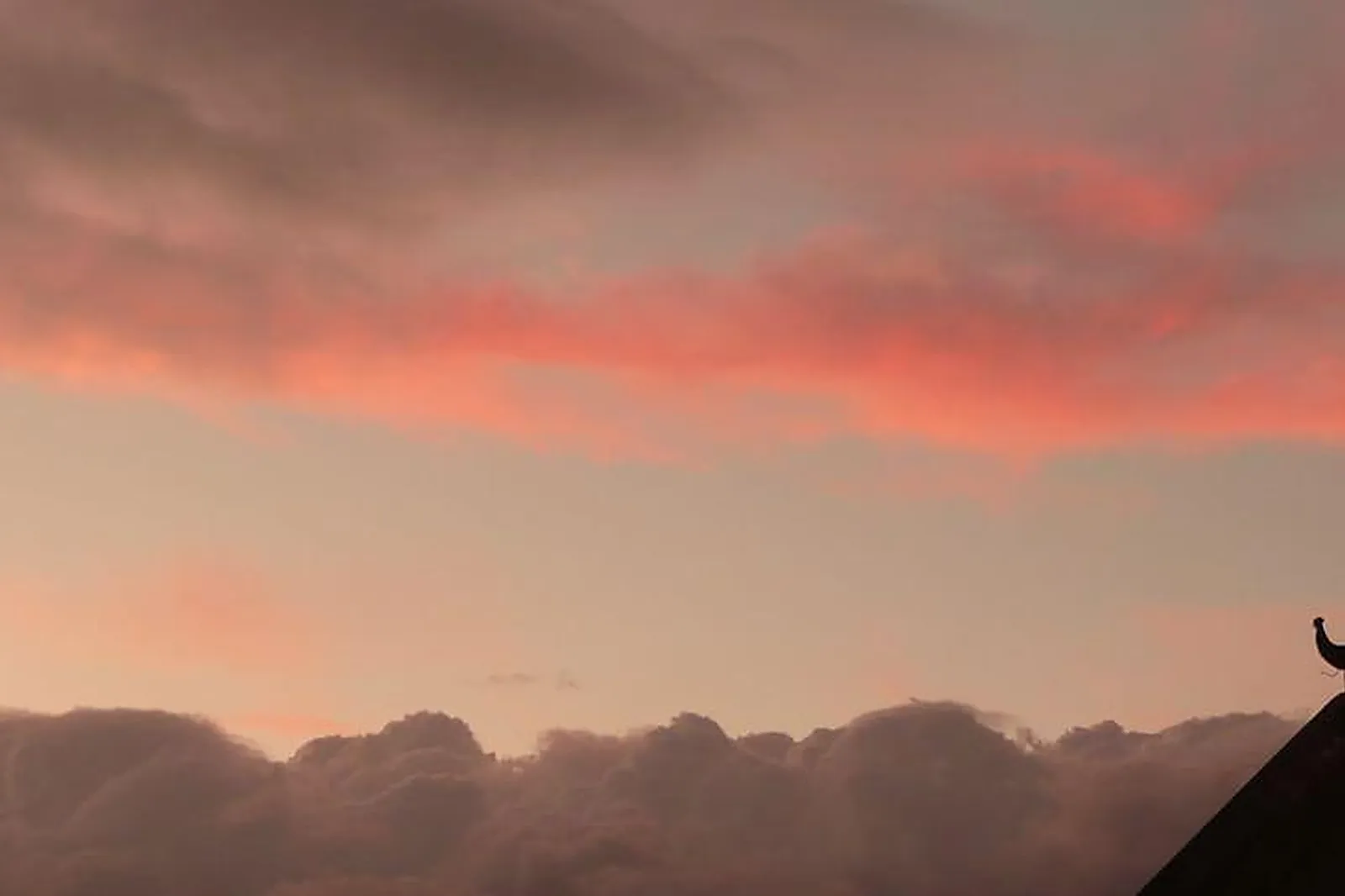 Lieux événementiels, OSMOSE