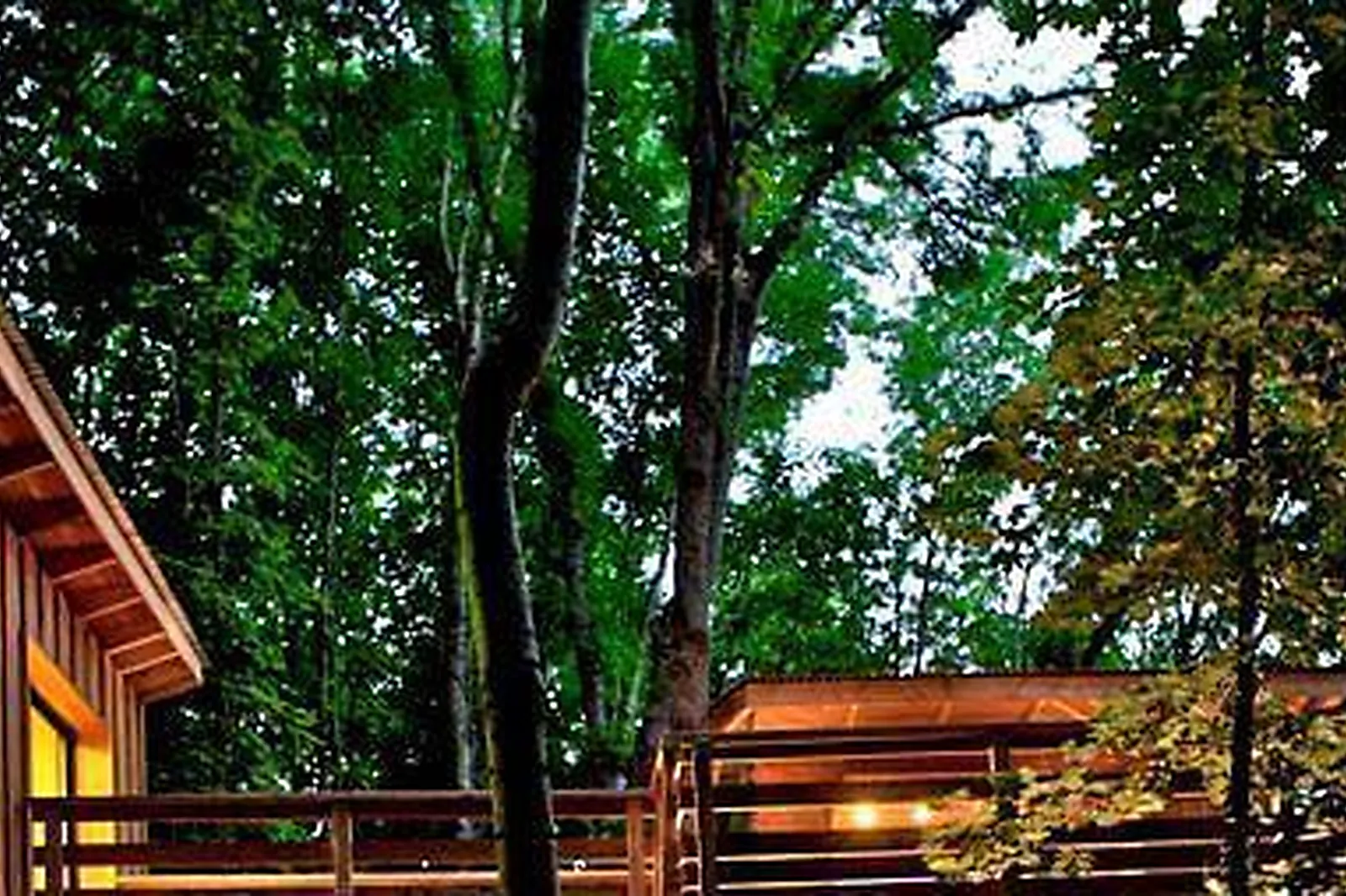 Lieux événementiels, LA CABANE DE LYON - SAINTE FOY