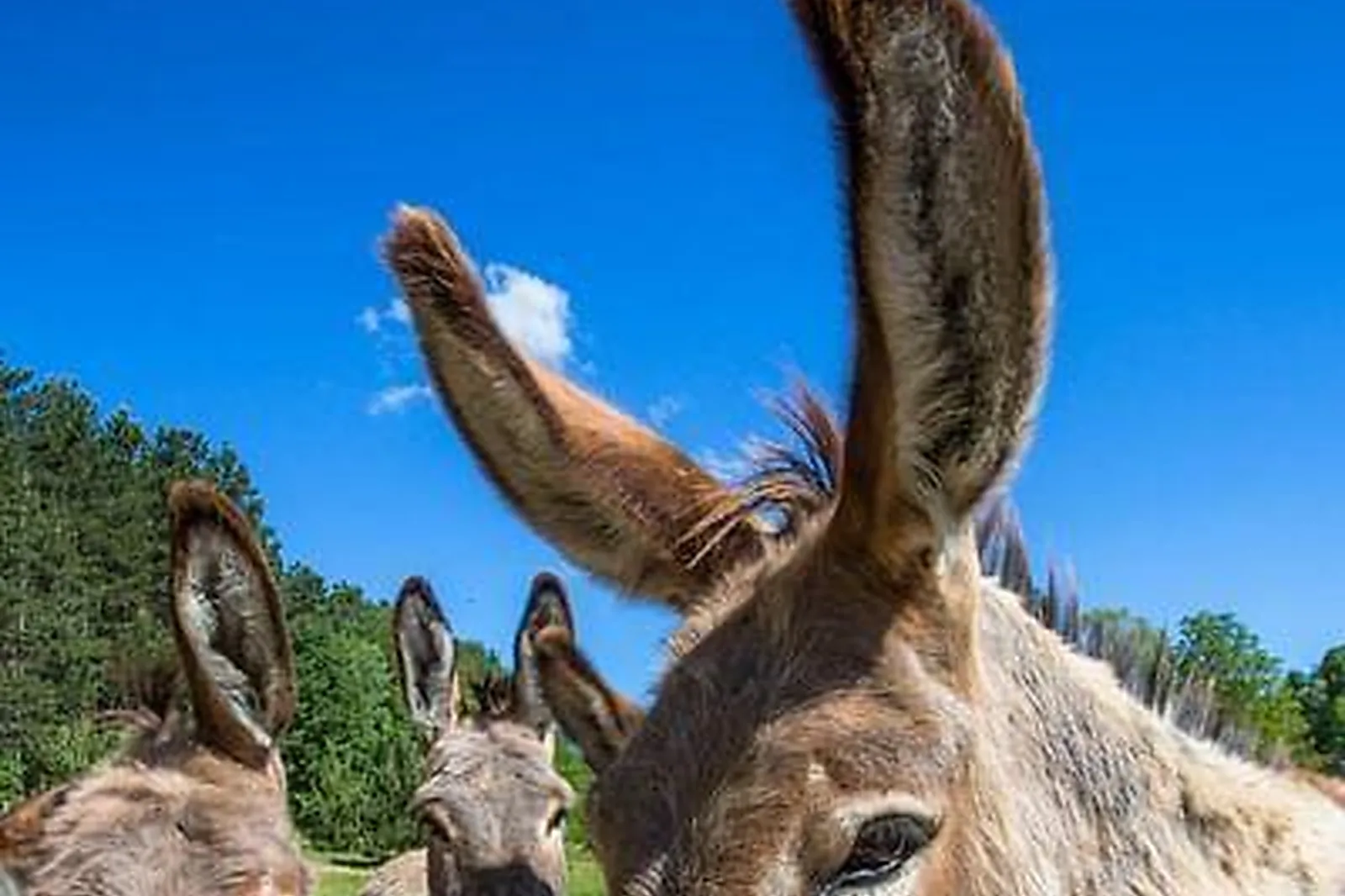 Lieux événementiels, LA CAMPAGNE ST LAZARE ***