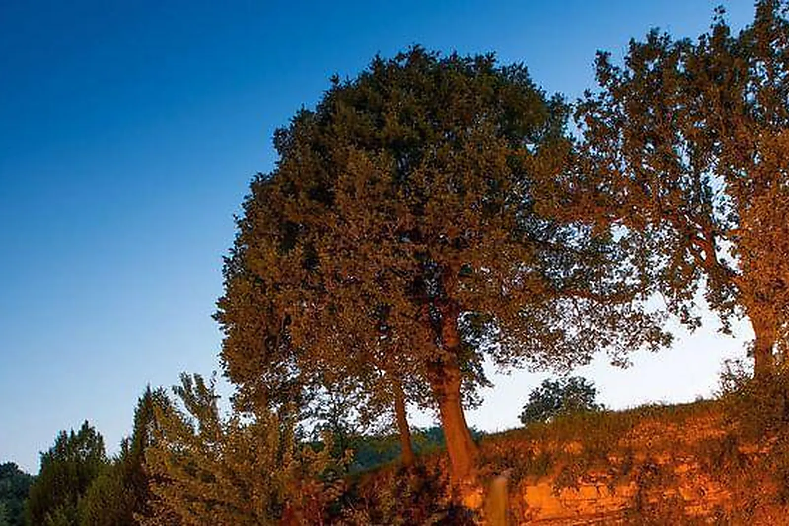 Lieux événementiels, LA CAMPAGNE ST LAZARE ***