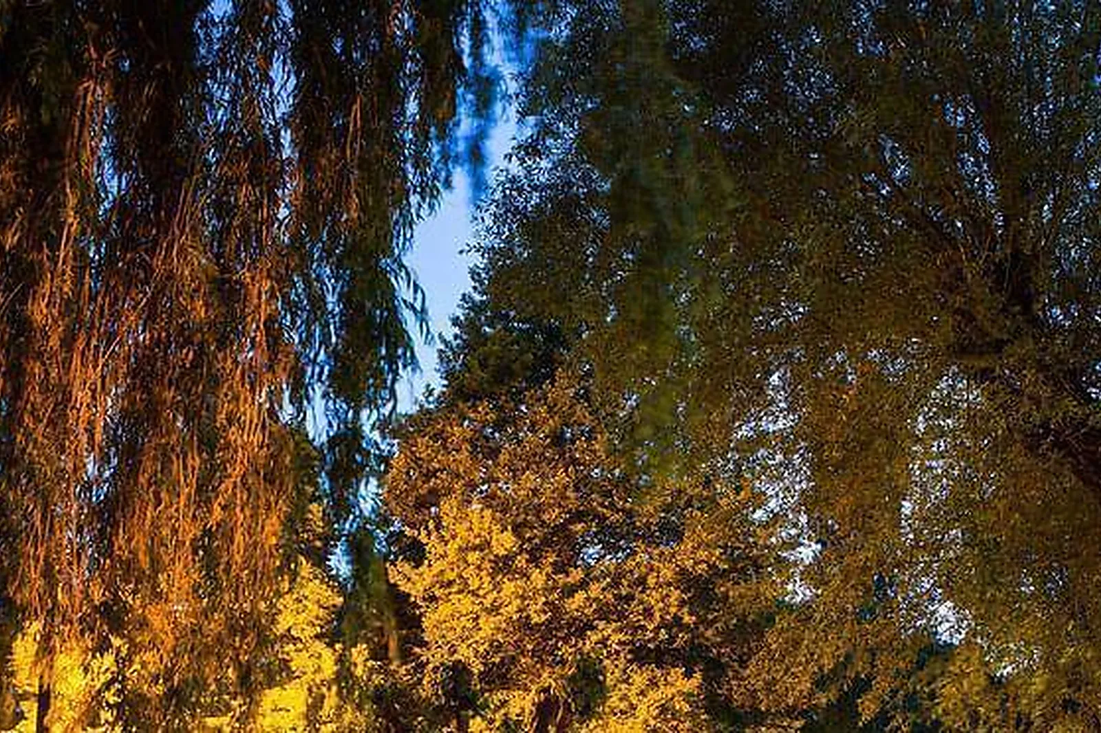 Lieux événementiels, LA CAMPAGNE ST LAZARE ***