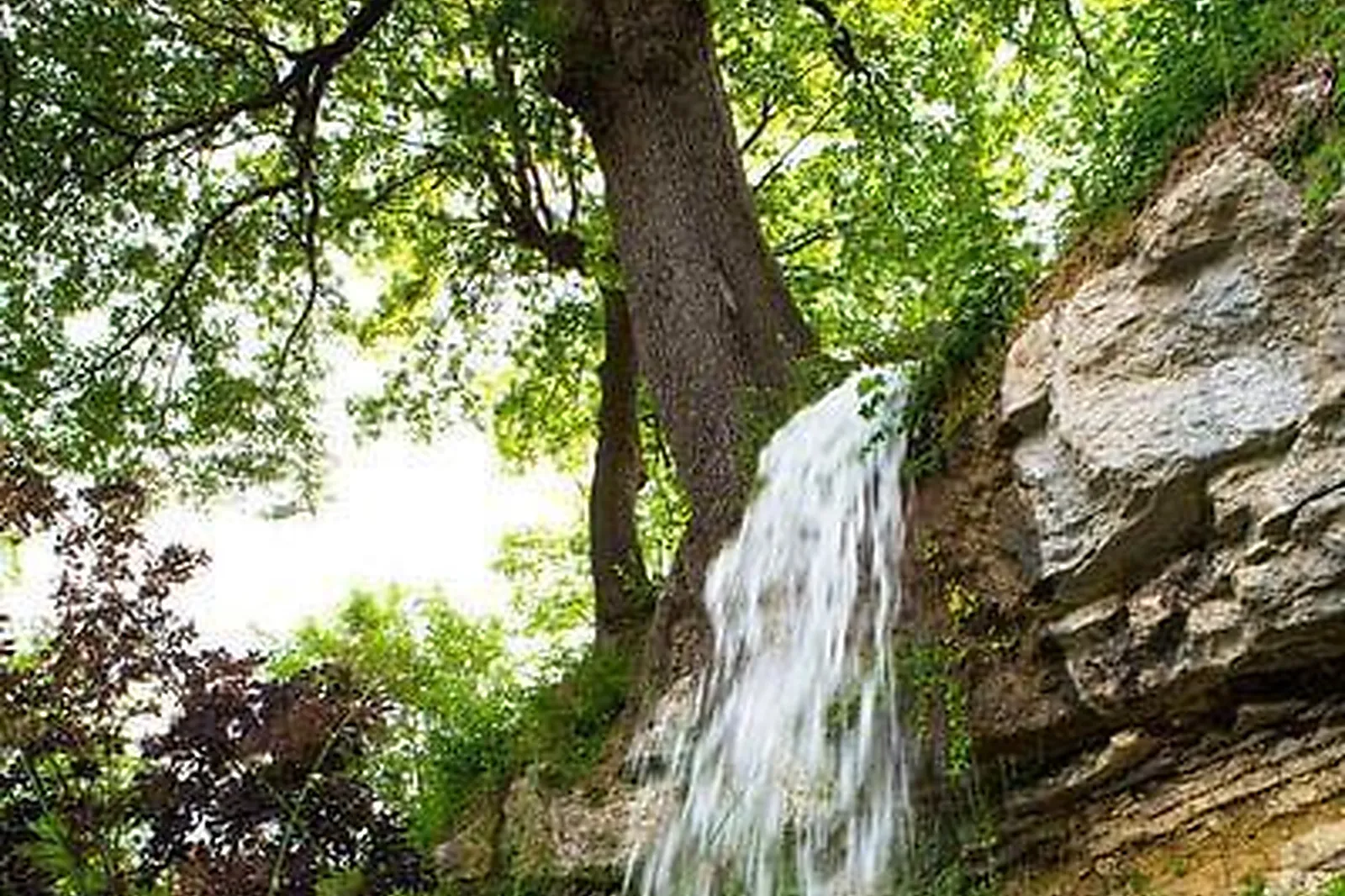 Lieux événementiels, LA CAMPAGNE ST LAZARE ***