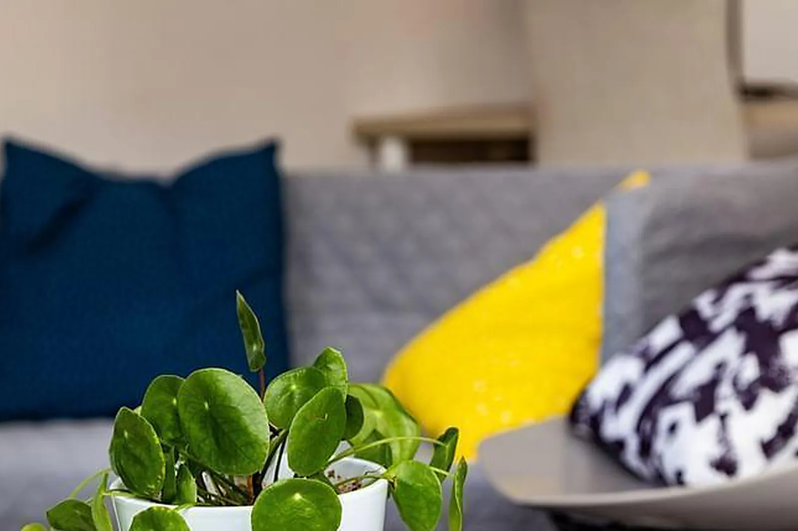 Lieux événementiels, LA CORDERIE ODELTA