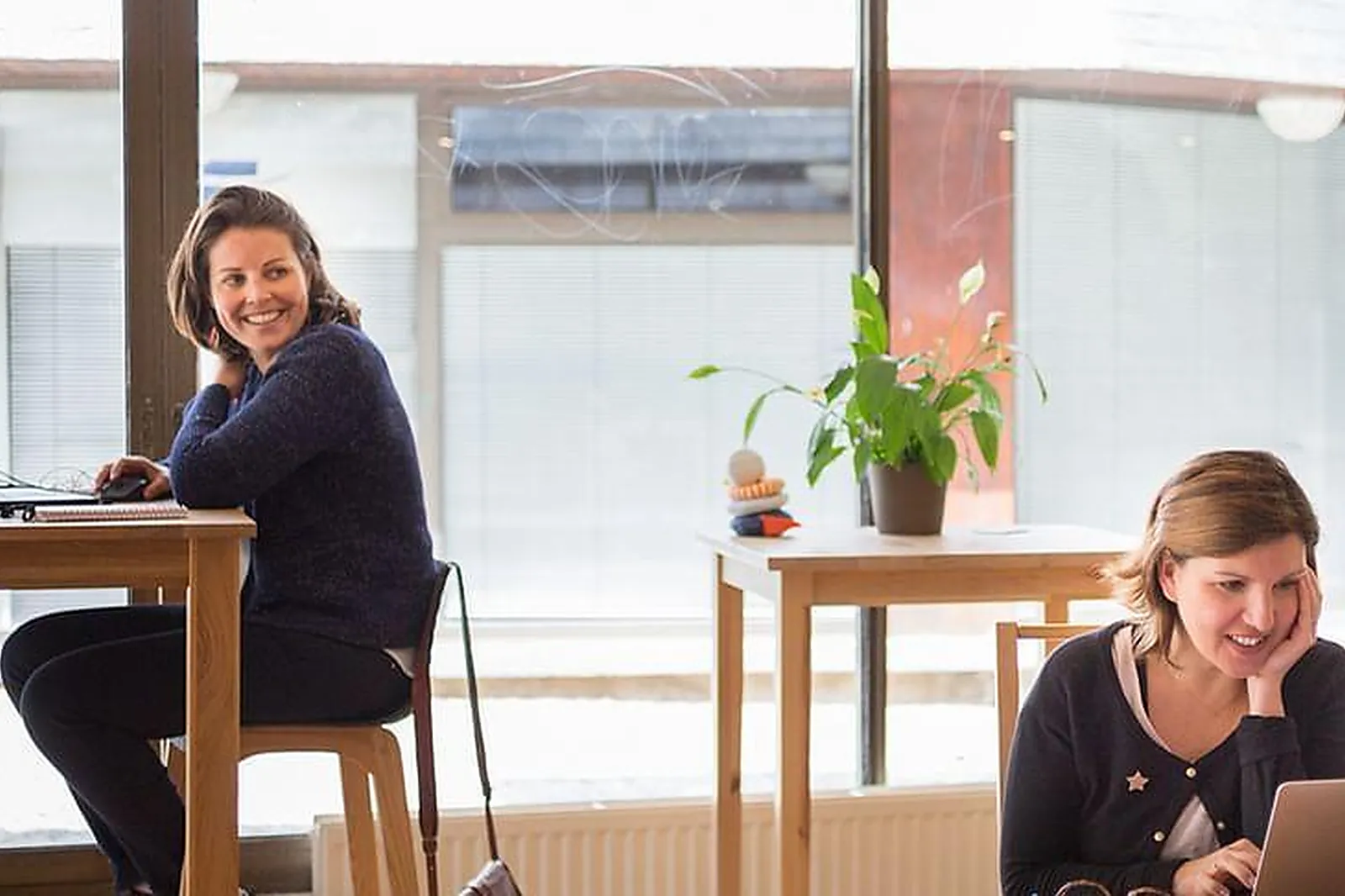 Lieux événementiels, LA CORDÉE LICES