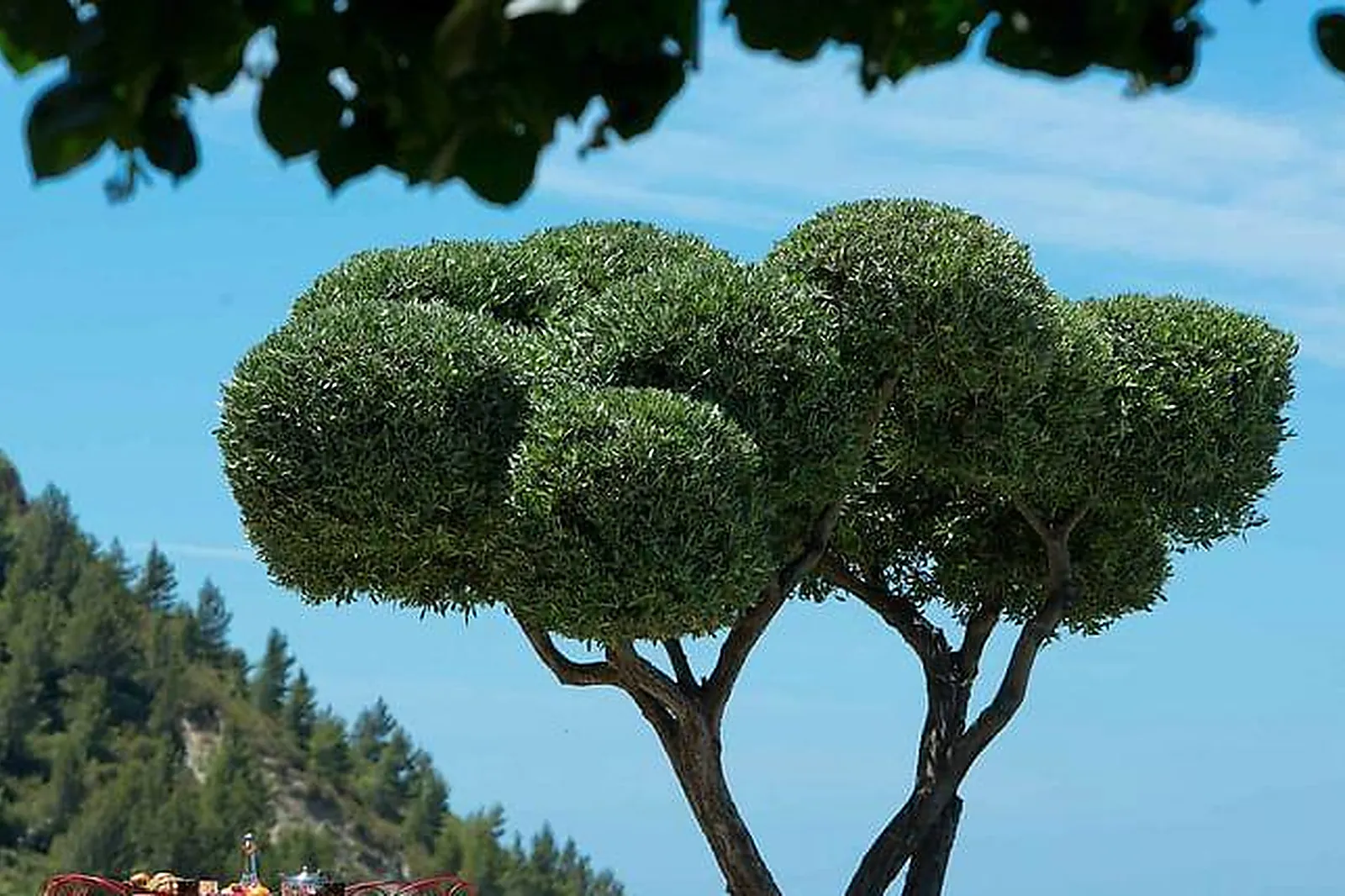 Lieux événementiels, LA FERME D'ANAIS