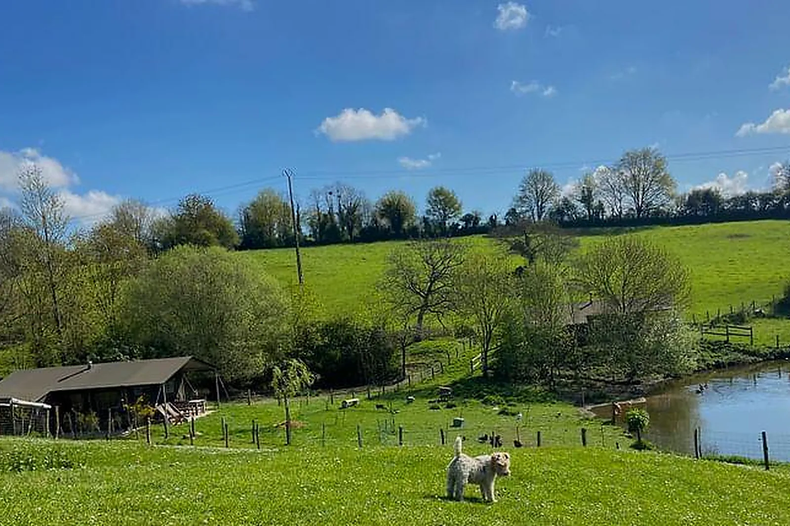 Lieux événementiels, LA FERME DE LA FLOCELLIÈRE