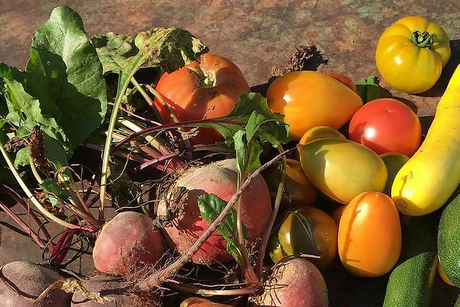 Lieux événementiels, LA FERME DES RUATS