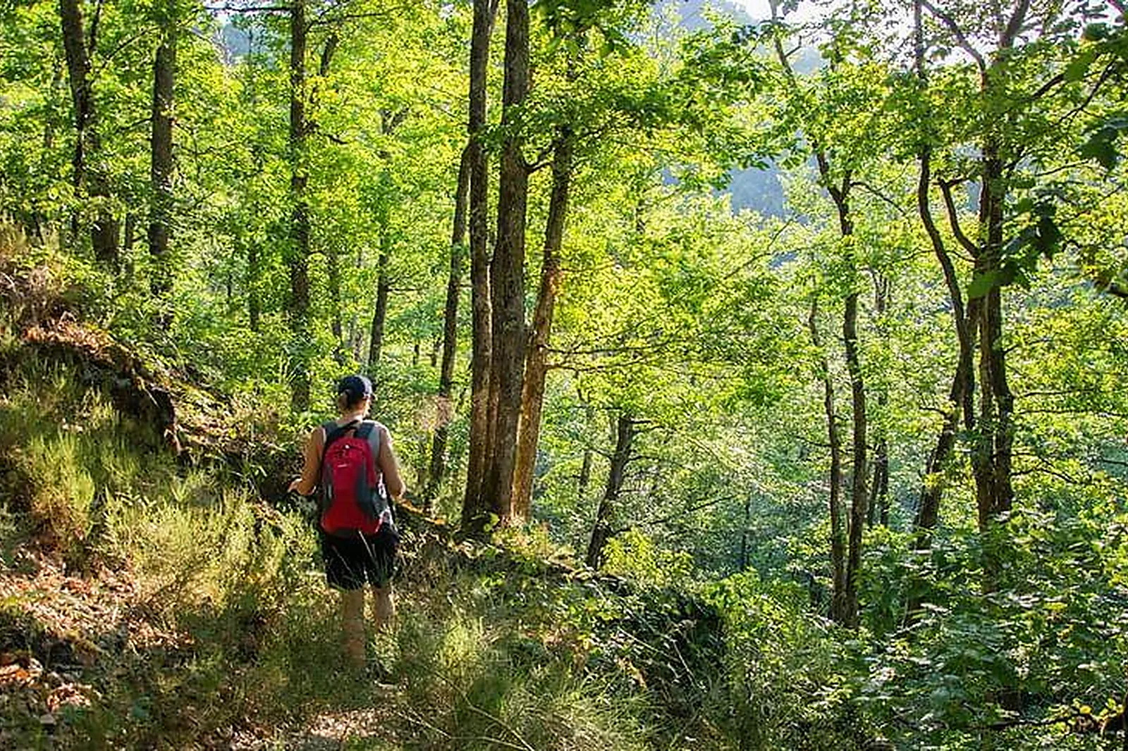 Lieux événementiels, LE PAVILLON DE KERSALIOU - RÊVES DE MER