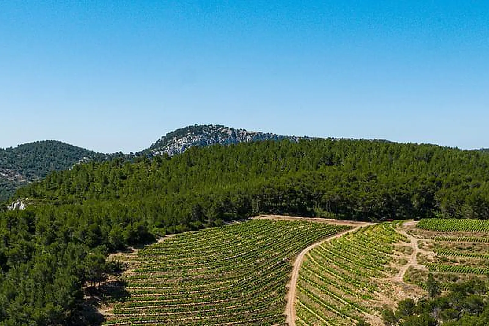 Lieux événementiels, LA FONT DES PÈRES