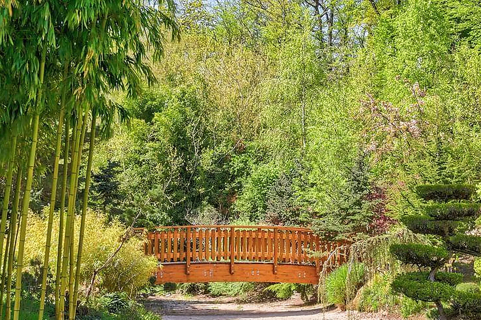 Lieux événementiels, LA FORÊT DES ARTS