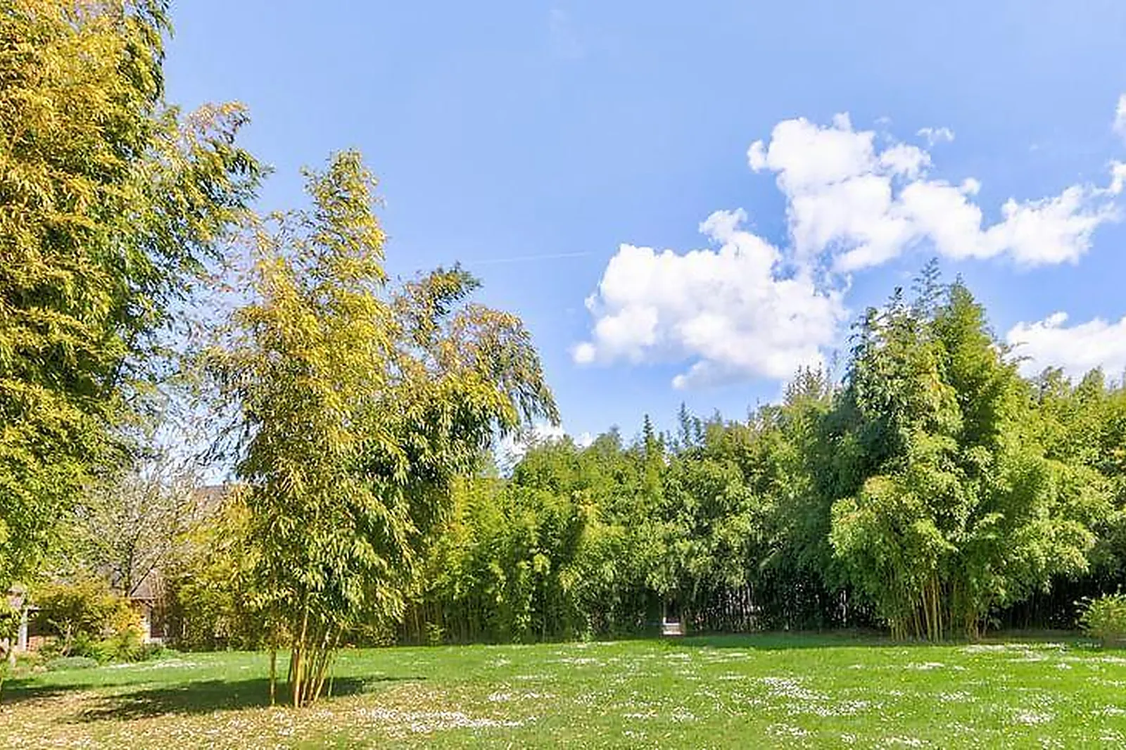 Lieux événementiels, LA FORÊT DES ARTS