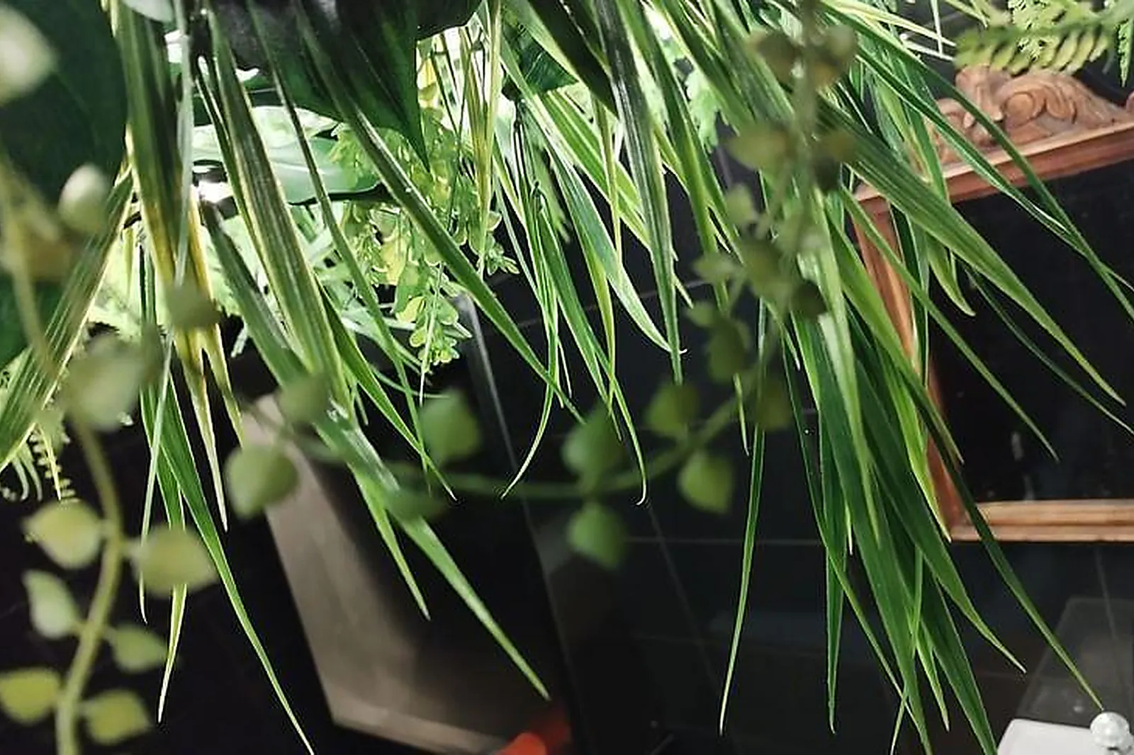 Lieux événementiels, LA GRANDE ÉPOQUE