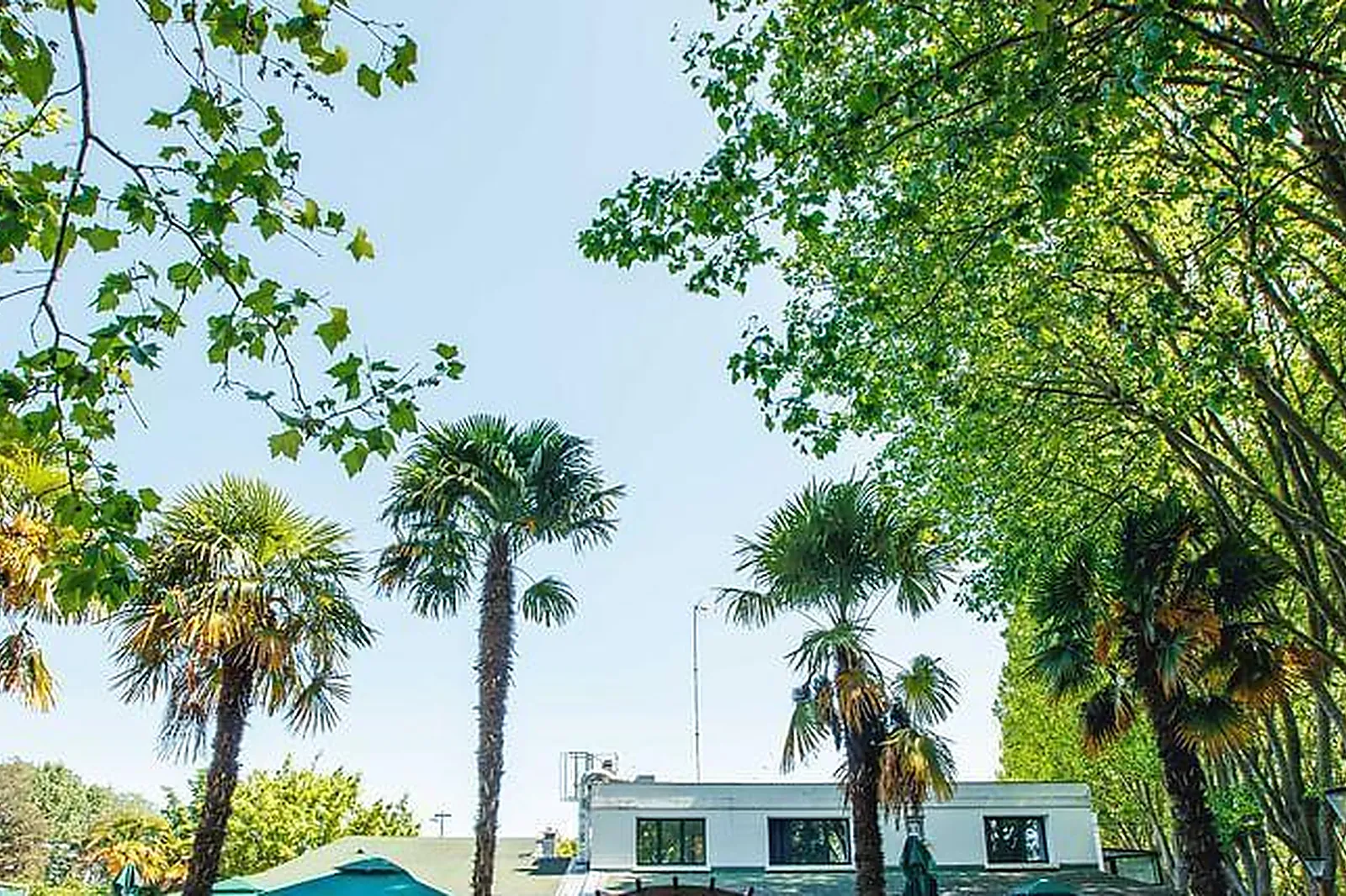 Lieux événementiels, LA GUINGUETTE
