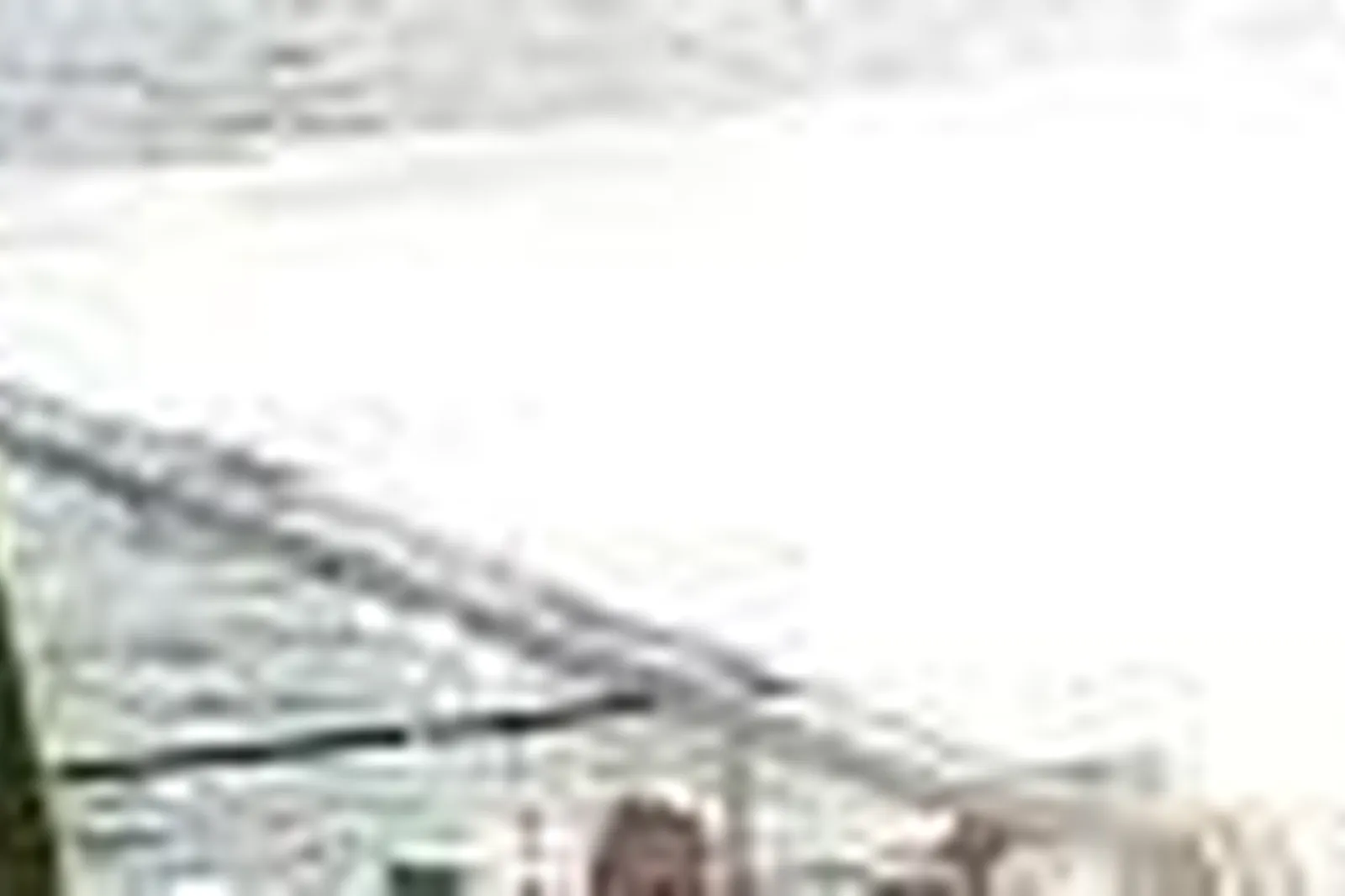 Lieux événementiels, LA GUÊPE BUISSONIÈRE