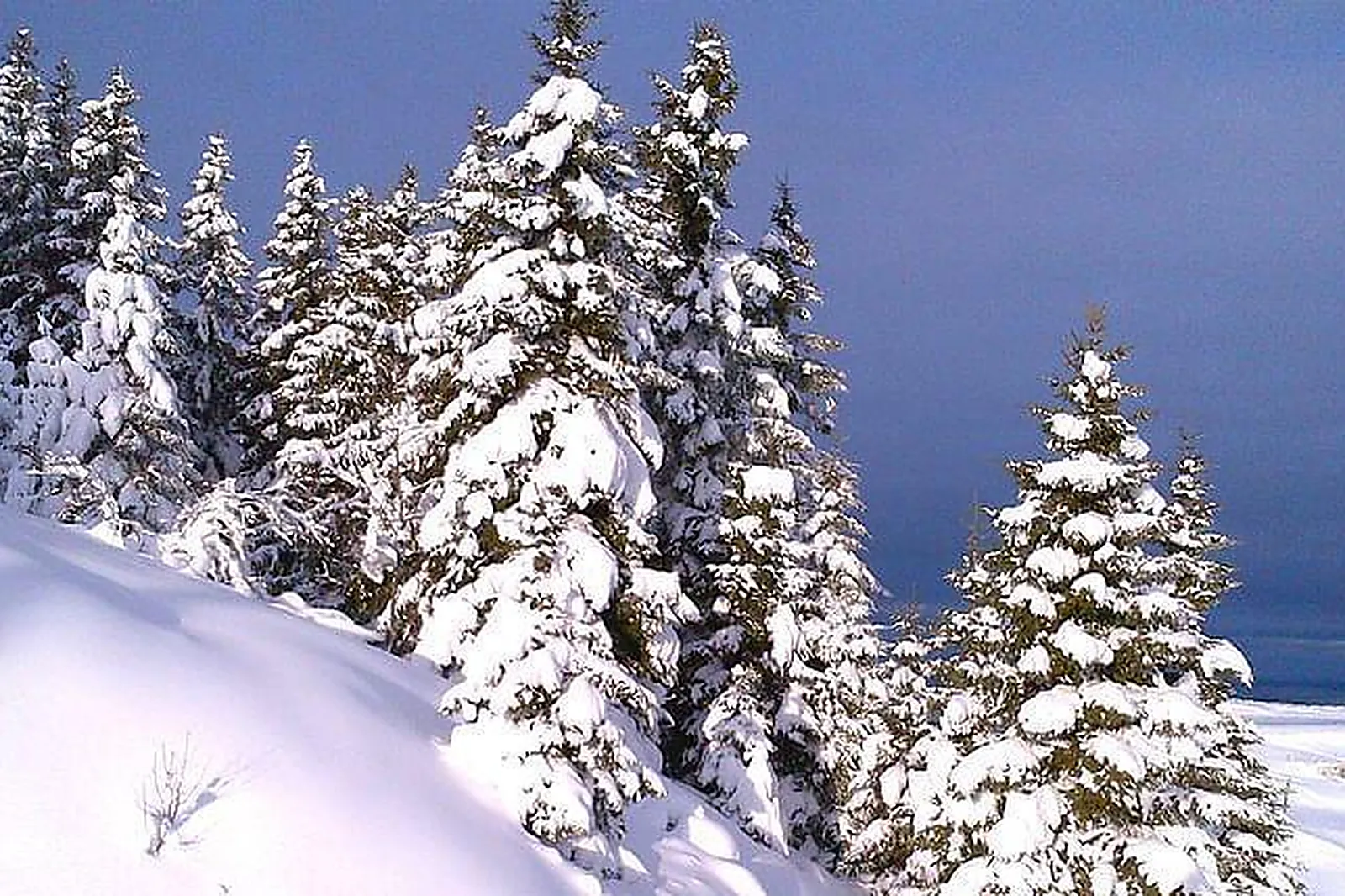 Lieux événementiels, LA MAINAZ HOTEL **** RESTAURANT & RESORT