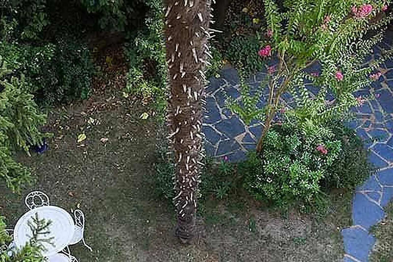 Lieux événementiels, LA MAISON DE FLORENCE