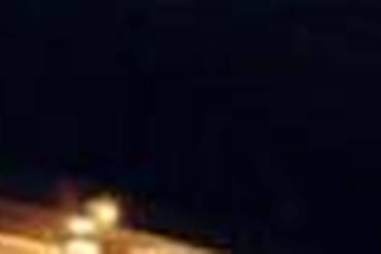 Lieux événementiels, LA PALMERAIE