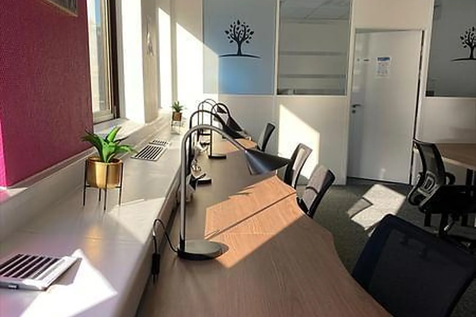 Lieux événementiels, LA PLACE DU COACHING LYON PART DIEU