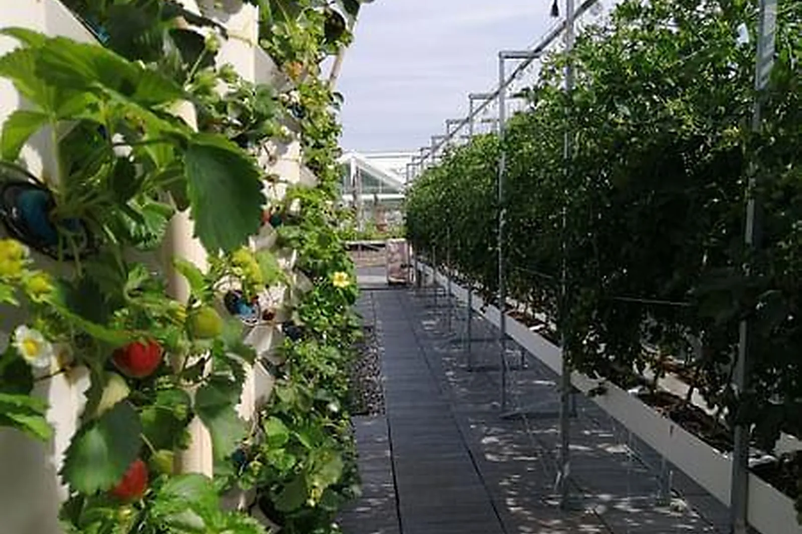 Lieux événementiels, LE JULES VERNE ****