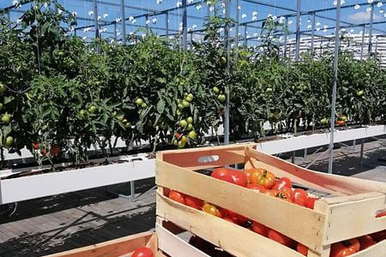 Lieux événementiels, LE JULES VERNE ****