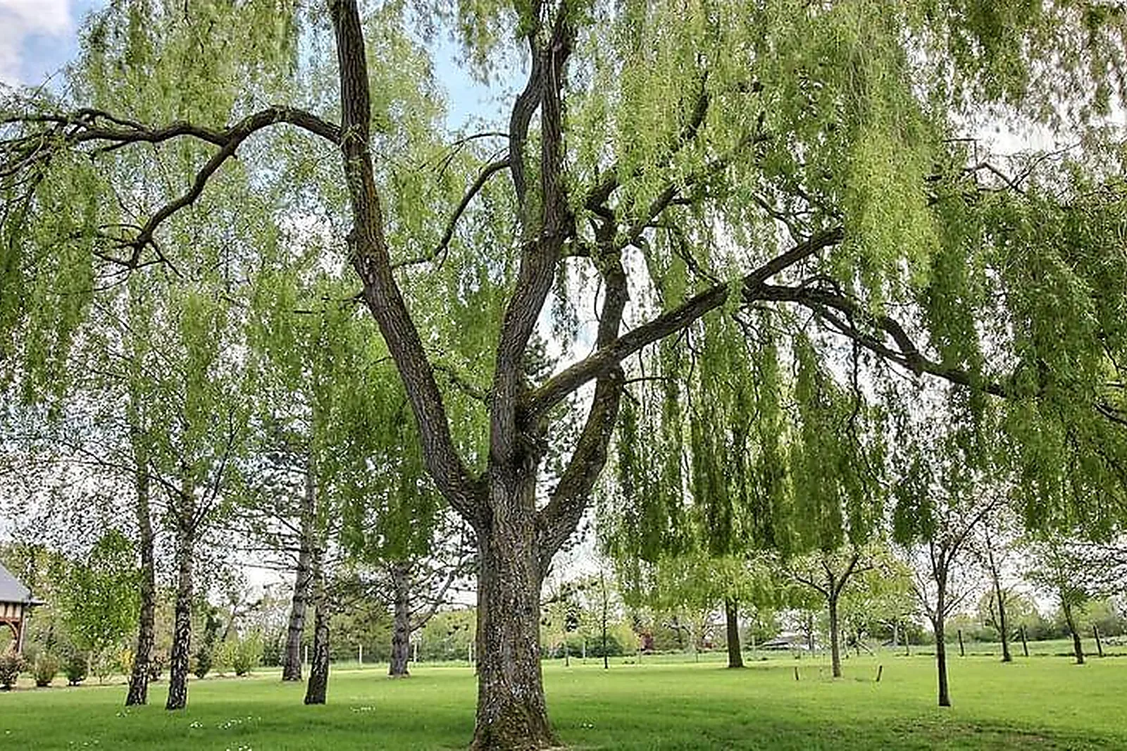 Lieux événementiels, RUE DU COLONEL MOLL PARIS