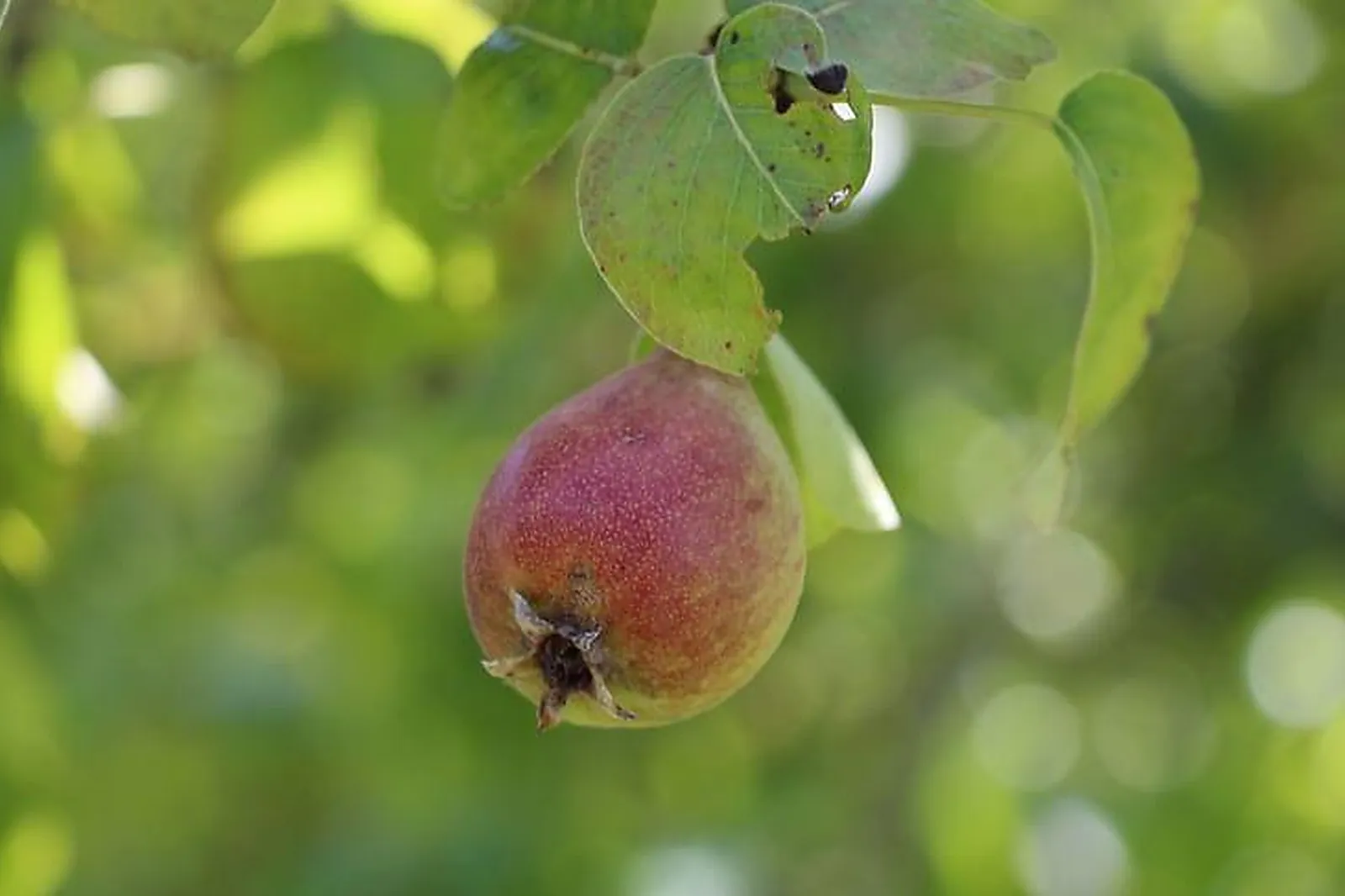 Lieux événementiels, RUE DU COLONEL MOLL PARIS