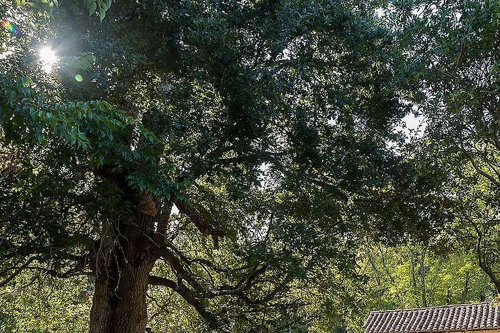 Lieux événementiels, LAPLA