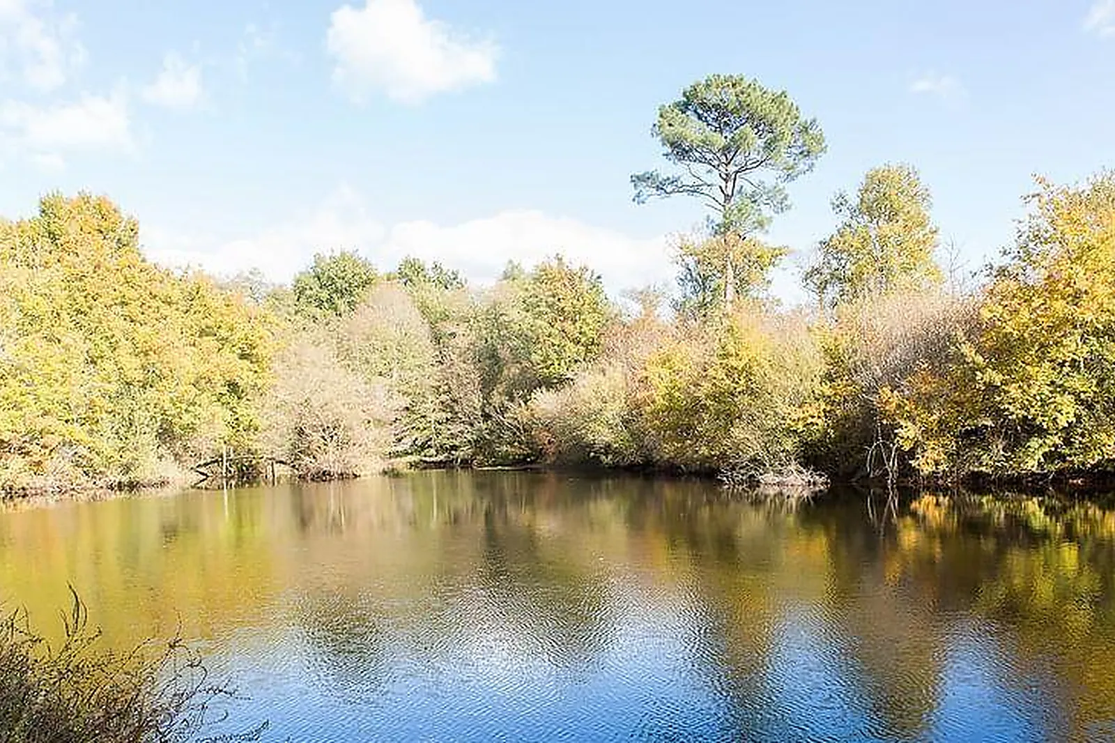 Lieux événementiels, LAPLA