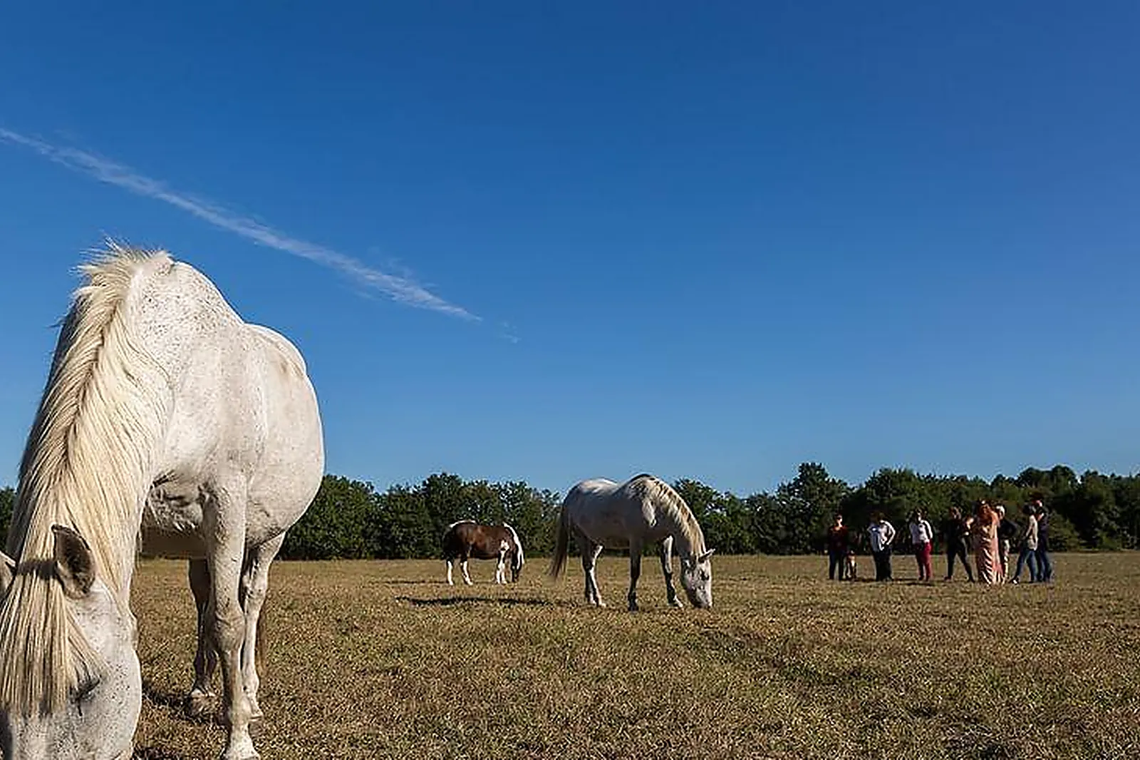 Lieux événementiels, LAPLA