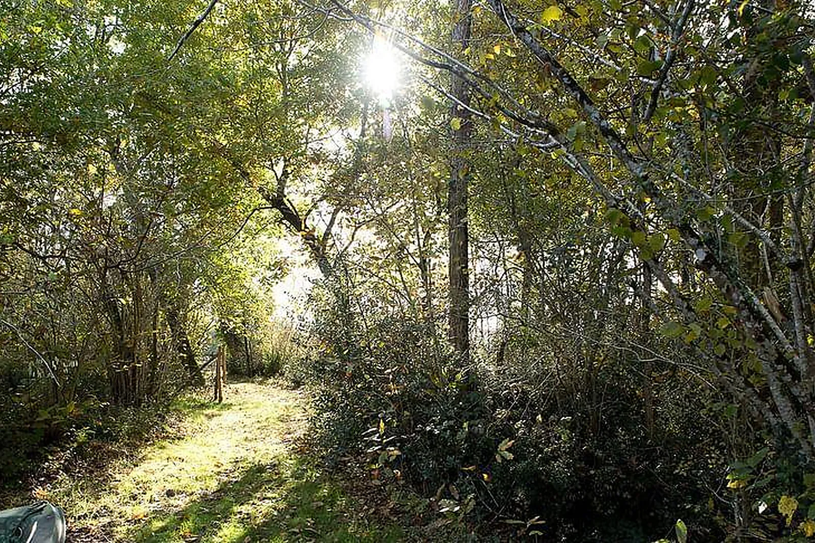 Lieux événementiels, LAPLA