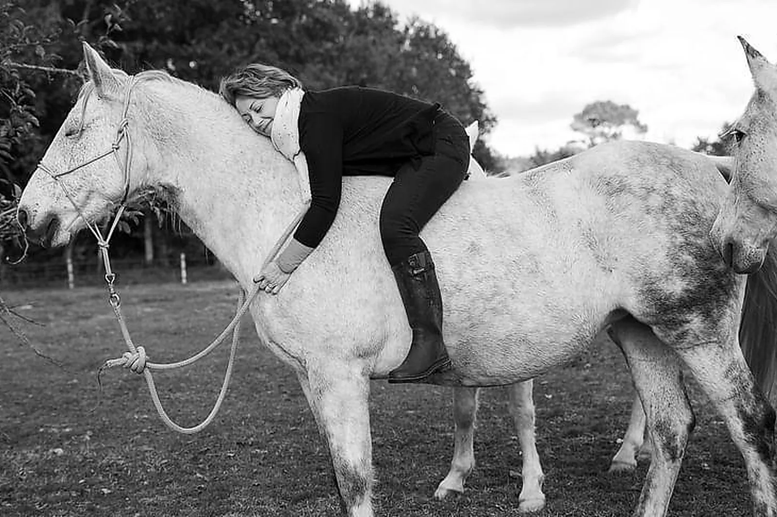 Lieux événementiels, LAPLA