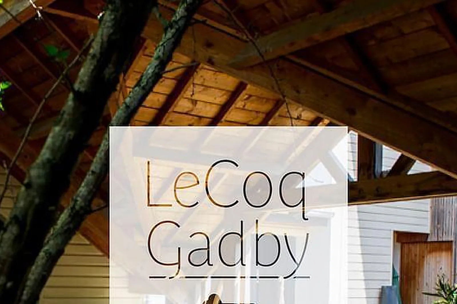 Lieux événementiels, SALLE DE CONFÉRENCE AVEC ÉCRAN