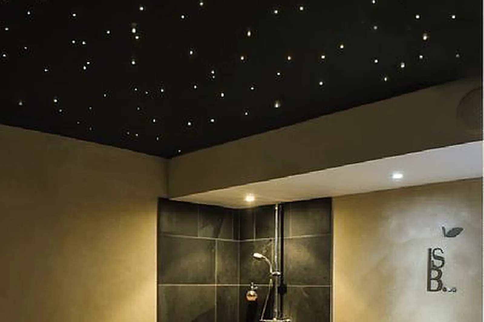 Lieux événementiels, SALLE DE CONFÉRENCE AVEC ÉCRAN