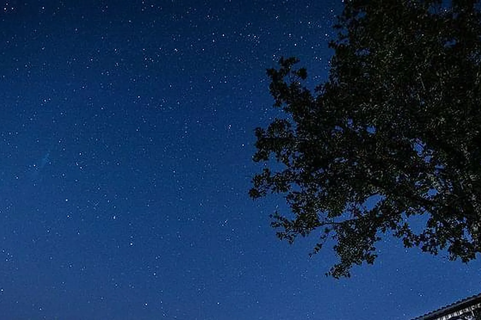 Lieux événementiels, LE BOIS D'IMBERT****