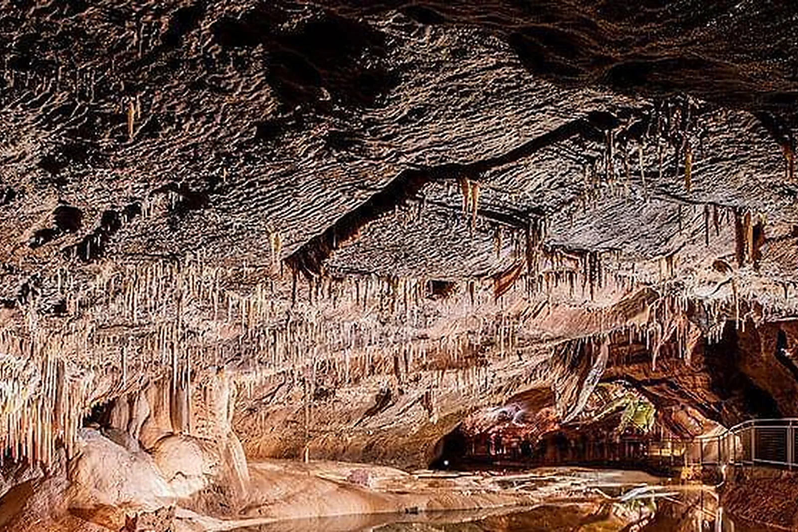 Lieux événementiels, LE BOIS D'IMBERT****