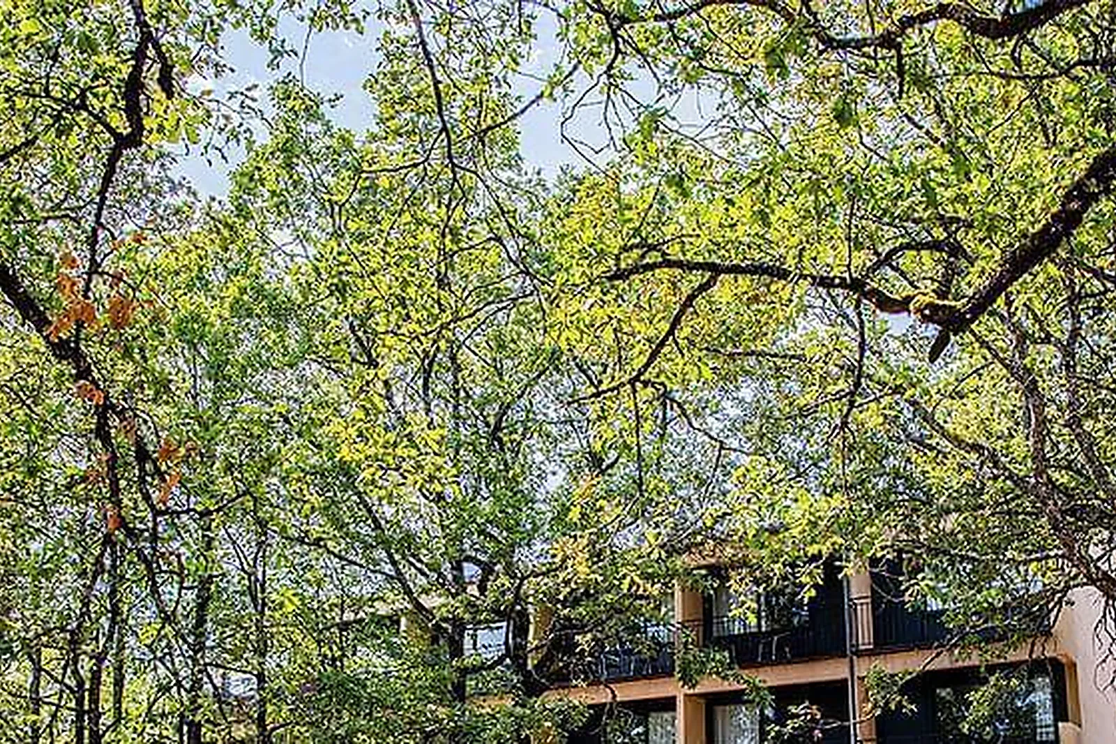 Lieux événementiels, LE BOIS D'IMBERT****