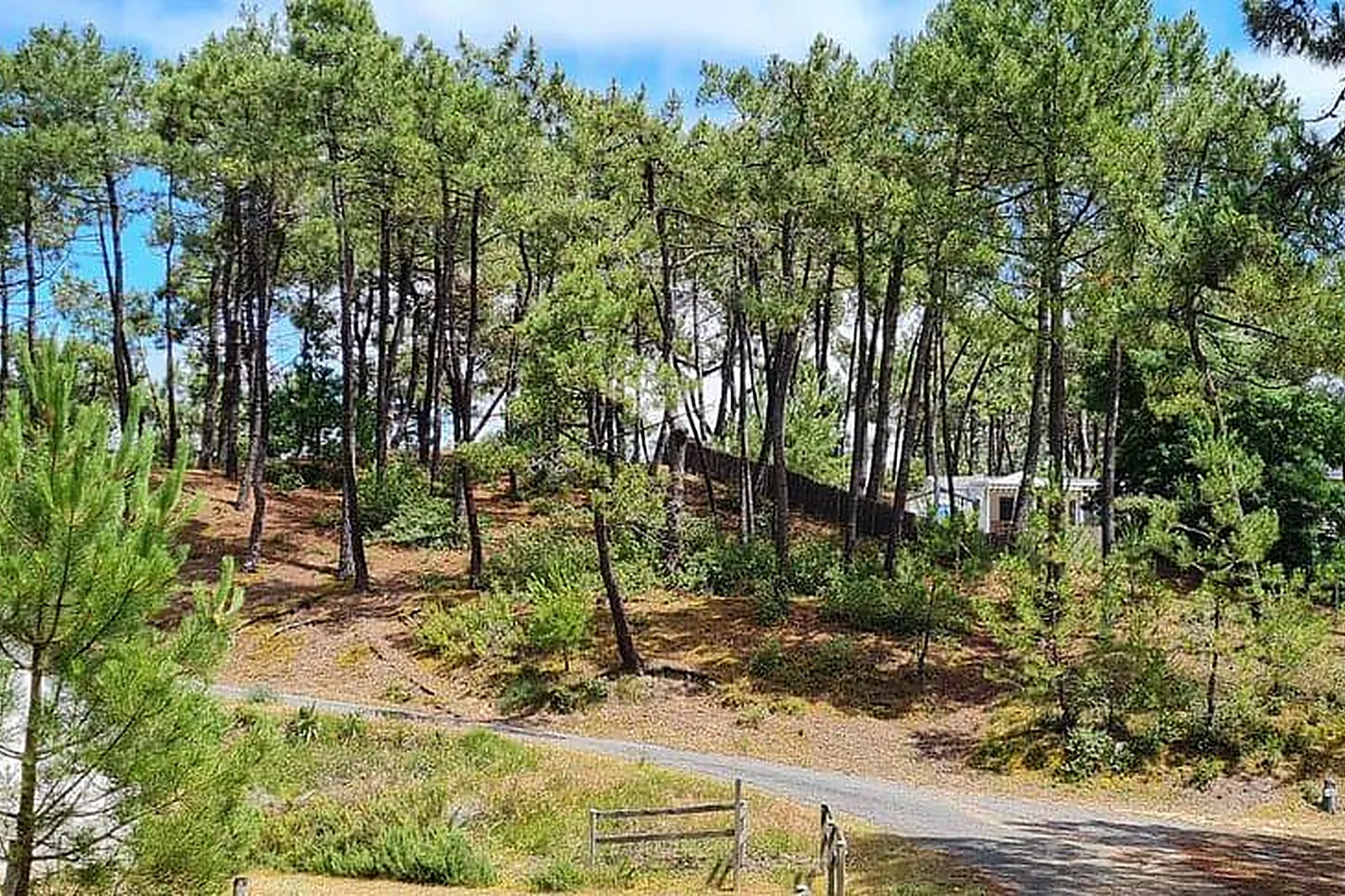 Lieux événementiels, LE CARRÉ DES MIMOSAS