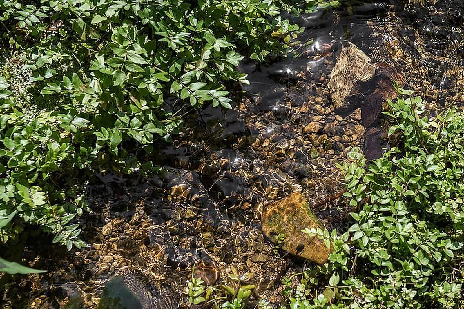 Lieux événementiels, LE CHÂTEAU DE PAULINE