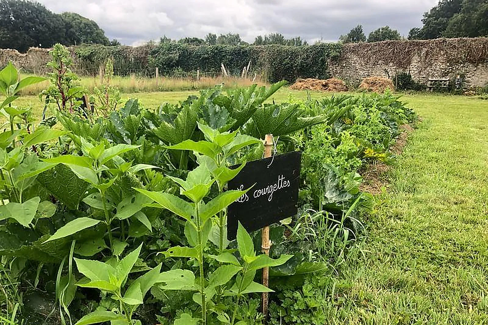 Lieux événementiels, LE CHÂTEAU DU NÉDO
