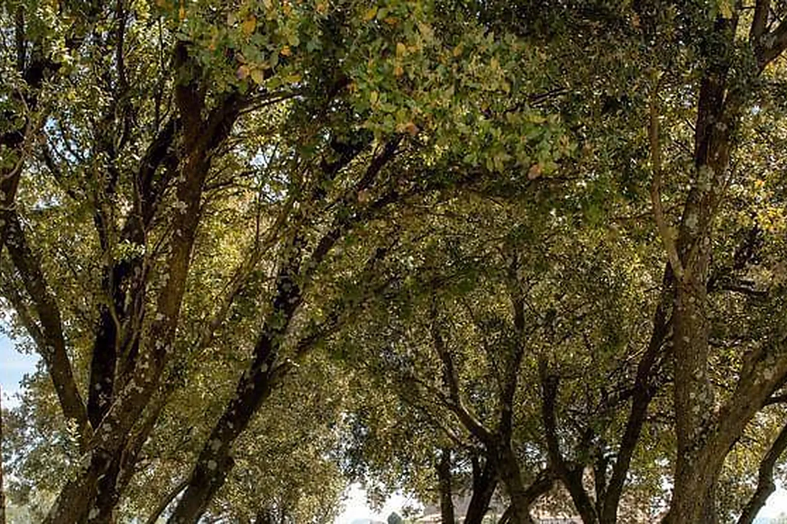 Lieux événementiels, BRISSARD LOFT