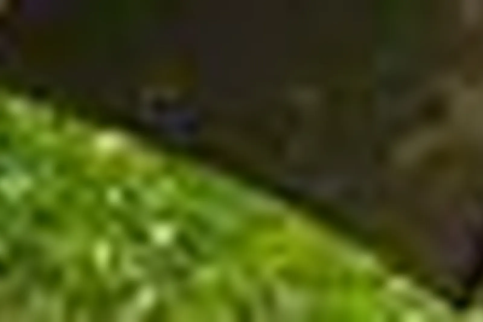 Lieux événementiels, LE CLOS CHAMPEL