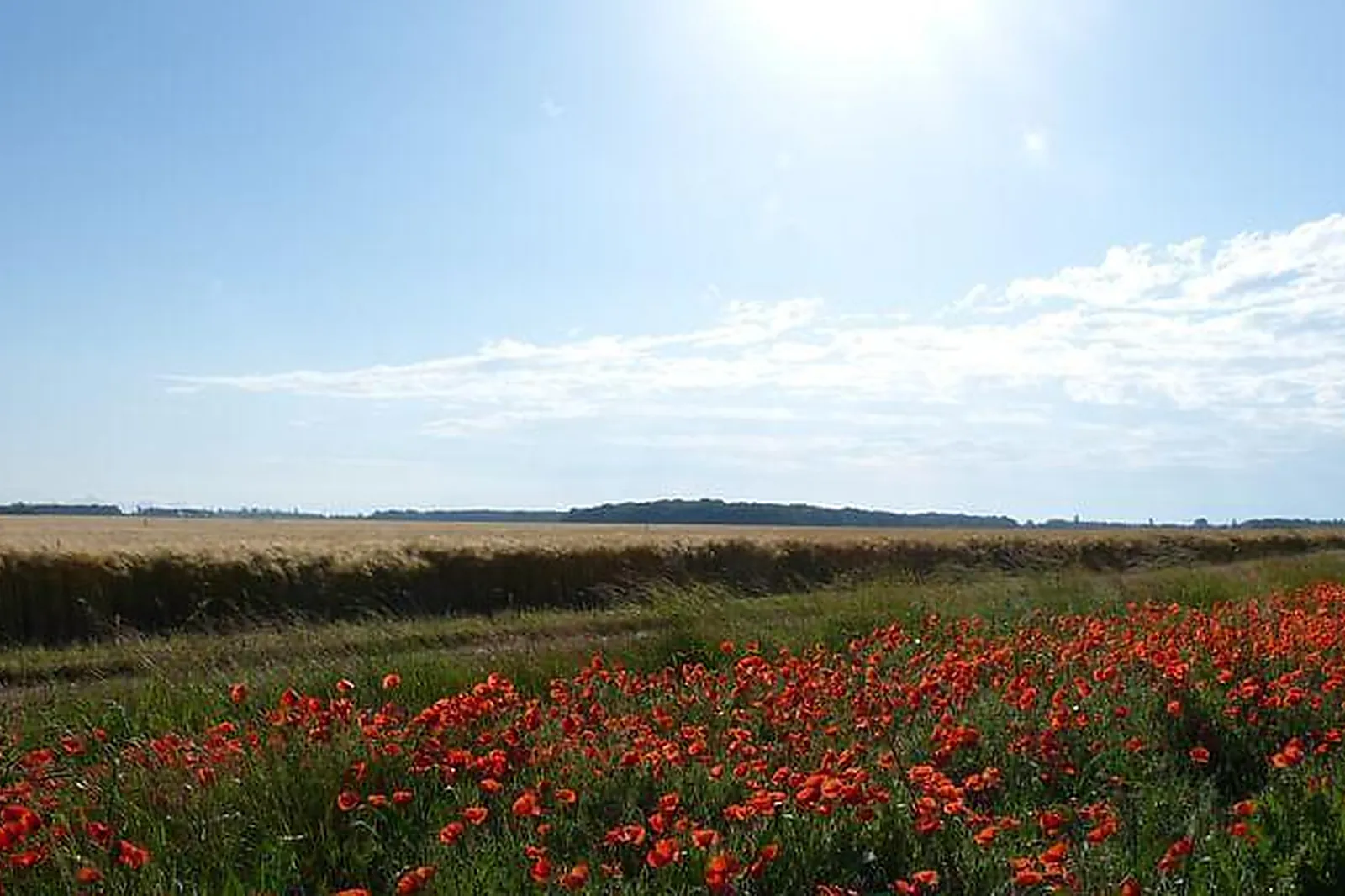 Lieux événementiels, LE CLOS DES PASSERELLES