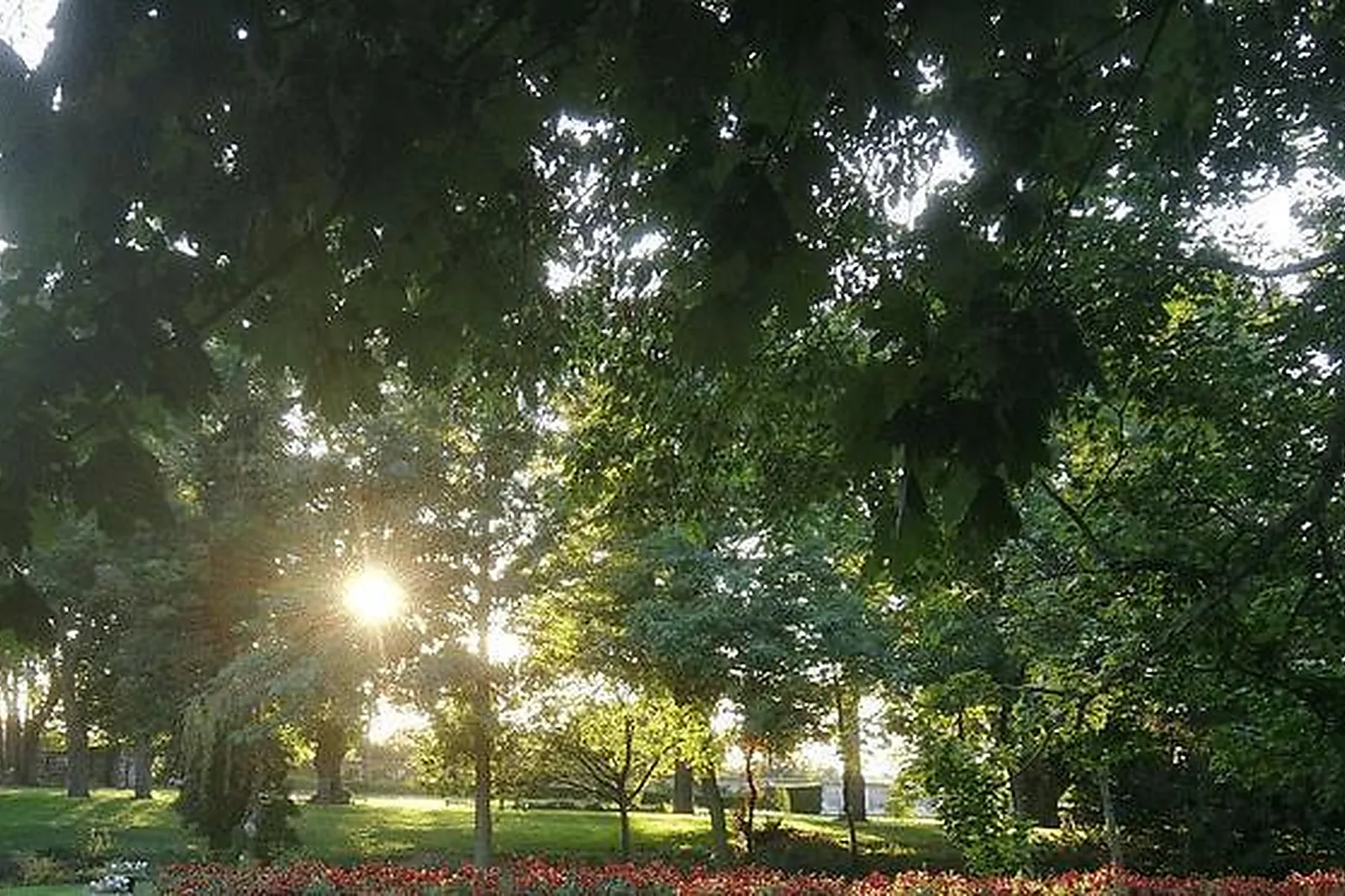 Lieux événementiels, LE COTTAGE DU PARC