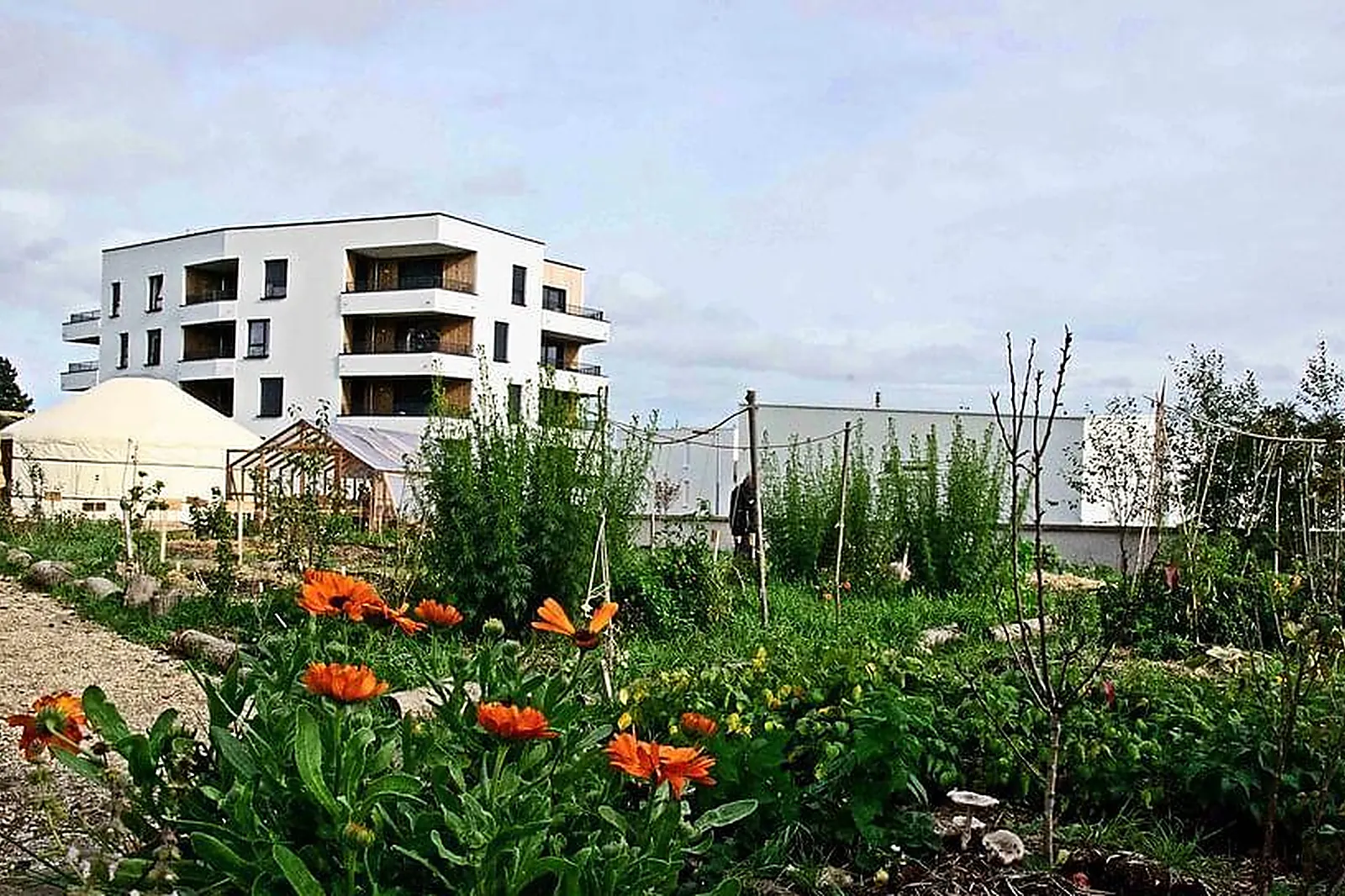 Lieux événementiels, LE COUARAIL