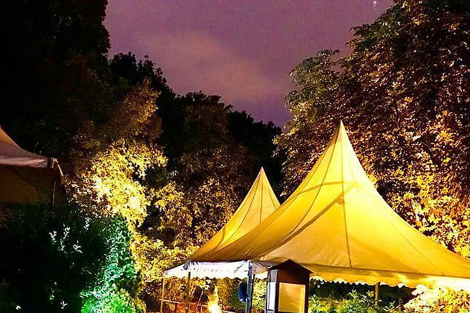 Lieux événementiels, LE DOMAINE DES TOURNELLES