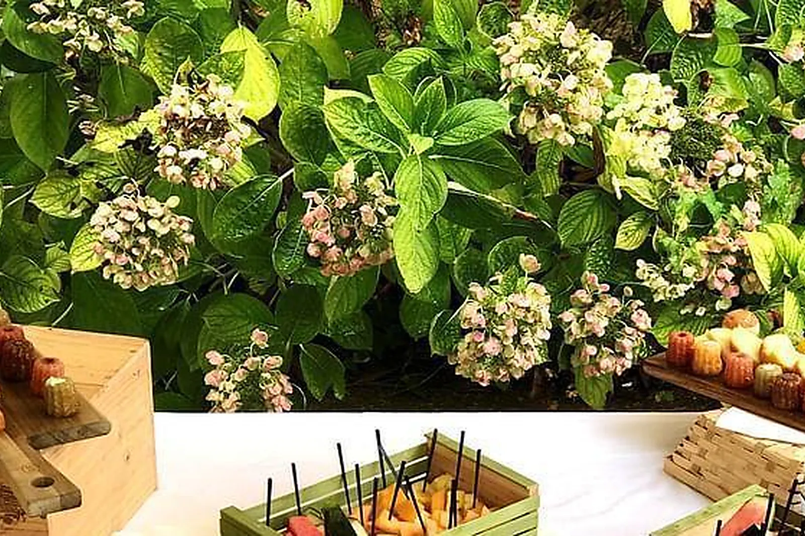 Lieux événementiels, LE DOMAINE DU GOUVERNEUR ****